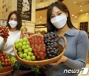 신세계백화점 '달콤한 포도 맛보세요'