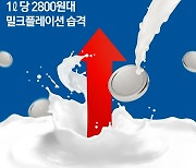 [오늘의 그래픽]1ℓ당 2800원대…밀크플레이션 습격