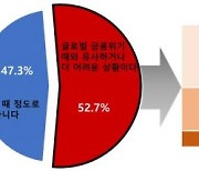 전문가 절반 이상 "2008년 금융위기때와 비슷하거나 더 어렵다"