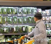 배추 20포기 김장비용 '22만원'…지난해보다 9% 저렴해져