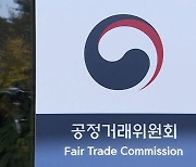 공정위, 글로벌 M&A 심사할 ‘국제기업결합과’ 신설 추진