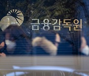 금감원, 14일 獨 헤리티지펀드 분조위…투자금 전액 반환 여부 촉각