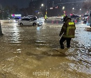 낙엽에 배수구 막혀 도로 잠긴 서울시…나무 쓰러지면서 정전 사태도