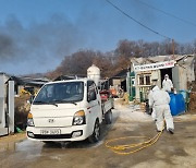 청주 오리농장서 조류인플루엔자 발생…육류가격 영향 미치나