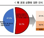 전문가 절반 "韓경제, 2008년 금융위기 수준…내년에도 어려울 것"