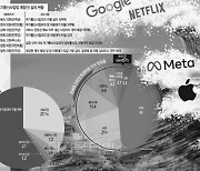 국내 `구글·넷플 무임승차 방지법` 잰걸음… 美·EU 방향타 될수도