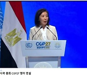 `COP27 특사` 나경원 "기후대응 尹정부 핵심과제" 영어연설…美 IRA 책임자 접촉도