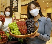 [사진]신세계 "고품질·이색 포도 맛보세요"