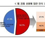 경제 전문가 절반 "韓 경제, 2008년 금융위기 수준"