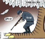 한국일보 11월 14일 만평