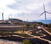 [포토친구] 진작에 가 볼 걸 그랬어요