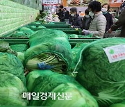 [포토]김장비용 하락세