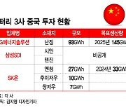 K배터리 막더니...韓 전기차 시장 공략하는 중국