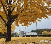 인천, 새벽까지 돌풍 동반 비…오후 찬 공기 남하해 '쌀쌀'