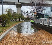 '가뭄 속 단비' 광주·전남 쌓인 낙엽에 도로 침수 잇따라