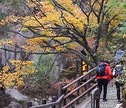 막바지 단풍객 북적…늦가을 산행 주의보