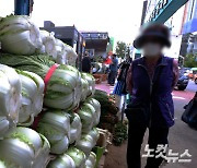 aT "배추 20포기 김장비용 22만원…지난해 대비 9.1%↓"