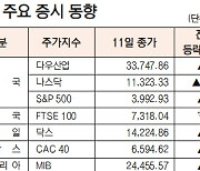 [데이터로 보는 증시]해외 주요 증시 동향(11월 11일)