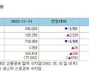 [표]증시주변 자금동향 (11/11)