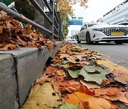 [사설]집값 때문에 ‘침수위험지구’ 지정 회피… 기막힌 지자체 실태