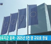 EU 평화유지군 윤곽…2025년 5천 명 규모로 창설