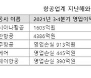 형님 끌고 아우 밀고...항공업계, 실적 회복 본격 시동