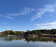 매주 오는 국립중앙박물관... 이렇게 아름다울 줄이야