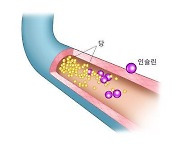 지난해 당뇨병 환자 356만명…대부분 '40세 이상'