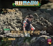 '안다행' 이연복X정호영, 낚싯대 버리고 맨손 낚시 '大성공'[별별TV]