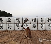 "독도 역사 왜곡하면 일본 역사 왜곡된다"