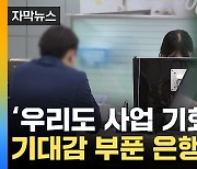 [자막뉴스] 은행에 길 열렸다...정부 발표에 기대감 '잔뜩'