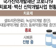 코로나 백신 개발 지원금 받은 기업, 임상현황·주가부양의혹 살핀다