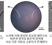 부작용 없는 의약품 단초 제시...소리로 '키랄성' 물질 분리 성공