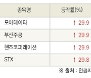 [fnRASSI]오늘의 상한가, 모아데이타 29.9% ↑