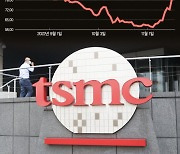 '버핏 효과' TSMC 등 반등… 개미들 '묻지마 추매'는 금물