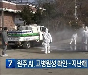 원주 AI, 고병원성 확인…지난해 2월 이후 첫 발생