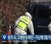 원주 AI, 고병원성 확인…지난해 2월 이후 첫 발생