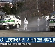 원주 AI, 고병원성 확인…지난해 2월 이후 첫 발생