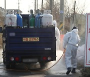 경기 화성 AI 확진…평택 산란계·청주 종오리 농장서도 항원 검출