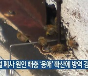 꿀벌 폐사 원인 해충 ‘응애’ 확산에 방역 강화