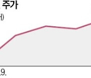 "인력 줄여라"…알파벳도 감원 압박 받는다