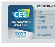 CES의 혁신상 …'나를 돕는 제품'이 뽑혔다