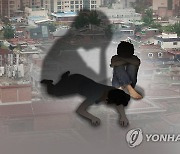 "탈북민 미혼포함 1인가구 비율 30%이상…고령 1인가구도 증가"