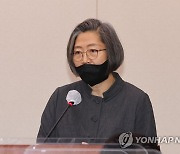 스토킹 피해자 보호법안 공청회에서 진술인 의견 말하는 이수정 교수