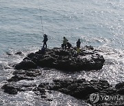 "포획금지 어종 잡지 마세요" 강원도, 불법 어로행위 특별단속