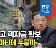 [영상] "금 밀수하고 김정은 핵자금 조달…사업수완 좋은 북한 외교관"