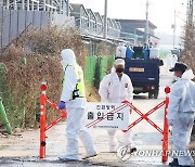 화성 육용종계 농장서 고병원성 AI…농장감염 16번째 사례