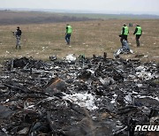 2014년 MH17 여객기 추락 사고 현장