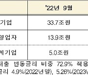 "금리 계속 오르면…내년말 기준 기업·가계 年이자부담 33조 더 는다"