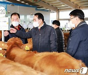 이완섭 서산시장, 사료값 상승 어려움 한우농가 격려